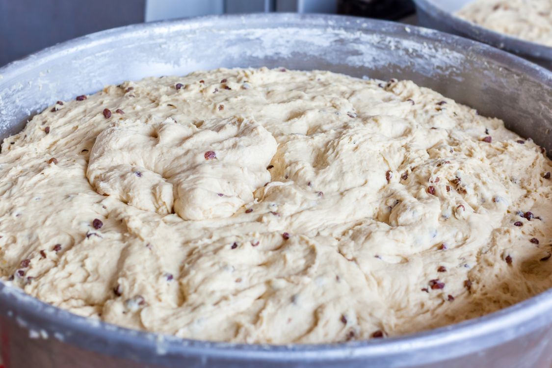 Stollenteig mit Rosinen und Nüssen bei der handwerklichen Herstellung in der Backstube